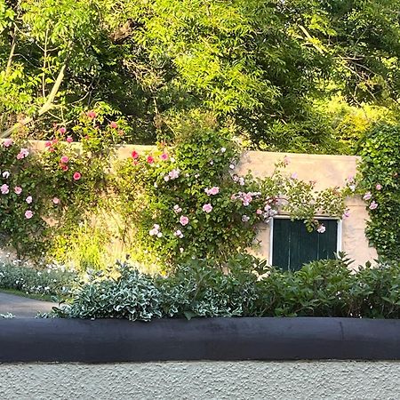 Bed and Breakfast Old Mill House Ларн Экстерьер фото