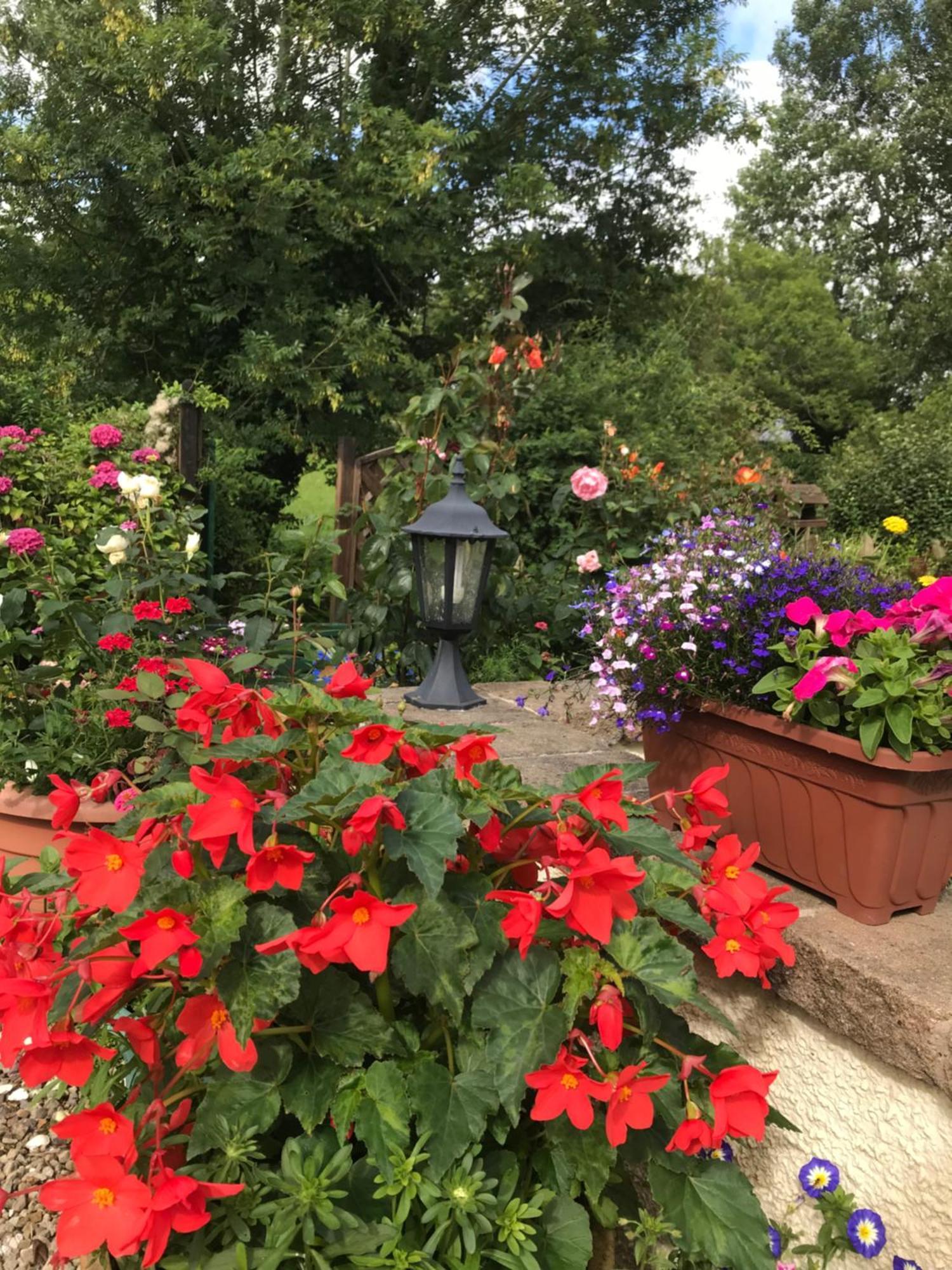 Bed and Breakfast Old Mill House Ларн Экстерьер фото